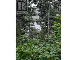 0 Branch Road thumbnail 8
