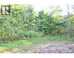 137 Harvey Road, Mcadam, NB E6J1A1 Photo 28