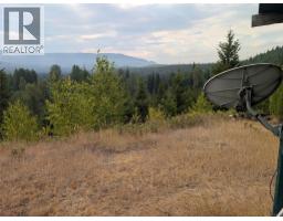 Kitchen - 1336 Trinity Valley Road, Lumby, BC V0E2G4 Photo 9