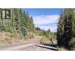 1336 Trinity Valley Road, Lumby, BC V0E2G4 Photo 20
