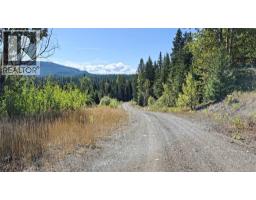 1336 Trinity Valley Road, Lumby, BC V0E2G4 Photo 22