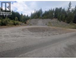 1336 Trinity Valley Road, Lumby, BC V0E2G4 Photo 21