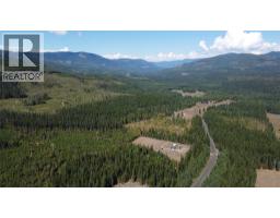1336 Trinity Valley Road, Lumby, BC V0E2G4 Photo 27