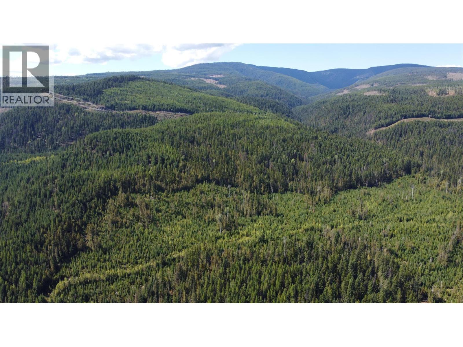 1336 Trinity Valley Road, Lumby