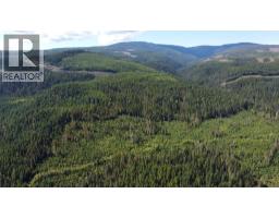 1336 Trinity Valley Road, Lumby, BC V0E2G4 Photo 30