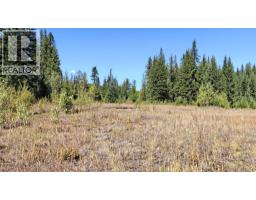 1336 Trinity Valley Road, Lumby, BC V0E2G4 Photo 23