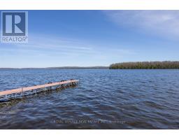 Family room - 595 Foley Road, Otonabee South Monaghan, ON K0L2G0 Photo 10