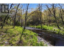 6689 Highway 3 Highway, Western Shore, NS B0J3M0 Photo 48