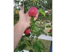 38 Rustic Drive, Crowes Mills, NS B0M1G0 Photo 29