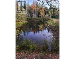 38 Rustic Drive, Crowes Mills, NS B0M1G0 Photo 28