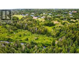 25 Back Road, Flatrock, NL A1K1E1 Photo 24