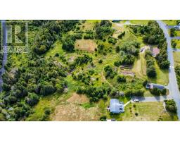 25 Back Road, Flatrock, NL A1K1E1 Photo 26