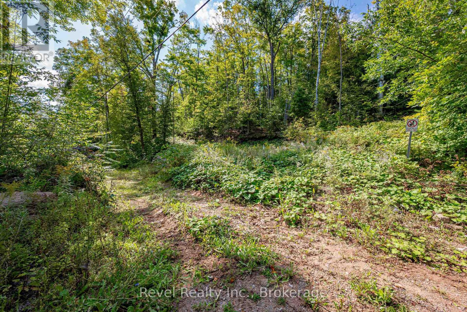 505 Bass Lake Road, Trent Lakes, Ontario, K0M1A0, Trent Lakes, Ontario — photo 3 of 5