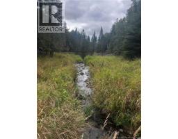 Land Kintore Tower Road, Kintore, NB E7H2P8 Photo 16