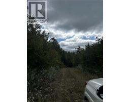 Land Kintore Tower Road, Kintore, NB E7H2P8 Photo 11