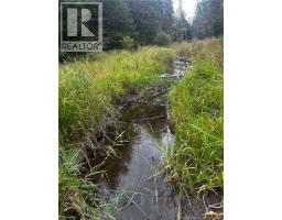 Land Kintore Tower Road, Kintore, NB E7H2P8 Photo 9