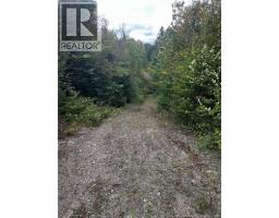 Land Kintore Tower Road, Kintore, NB E7H2P8 Photo 23