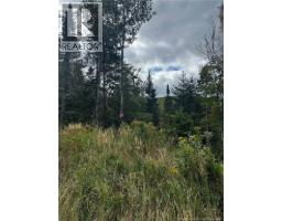 Land Kintore Tower Road, Kintore, NB E7H2P8 Photo 13