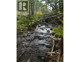 Land Kintore Tower Road, Kintore, NB E7H2P8 Photo 15