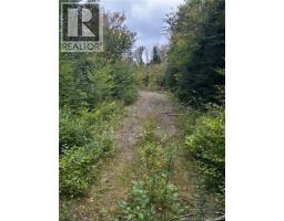 Land Kintore Tower Road, Kintore, NB E7H2P8 Photo 12
