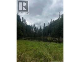 Land Kintore Tower Road, Kintore, NB E7H2P8 Photo 6