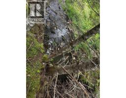 Land Kintore Tower Road, Kintore, NB E7H2P8 Photo 21