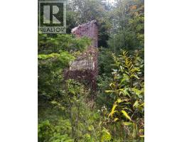 Land Kintore Tower Road, Kintore, NB E7H2P8 Photo 14