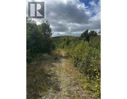 Land Kintore Tower Road, Kintore, NB E7H2P8 Photo 8