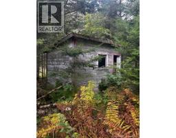 Land Kintore Tower Road, Kintore, NB E7H2P8 Photo 18