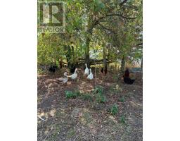 408 Portage Road, Kawartha Lakes, ON K0M2B0 Photo 31