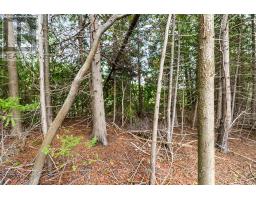 Part 3 Plan 3r-10841 Turner Street, Saugeen Shores, ON N0H2L0 Photo 10