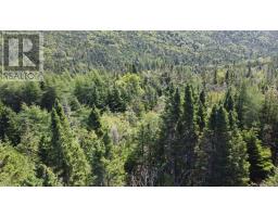 331-339 North River thumbnail 14