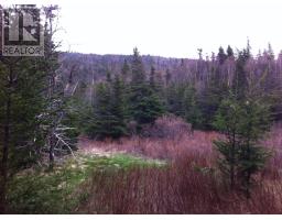 331-339 North River thumbnail 17