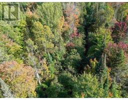 . Mississagi Bay Rd, Huron Shores, ON P0R1H0 Photo 40