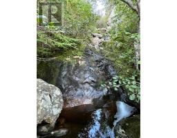 184 Bayview Street thumbnail 49
