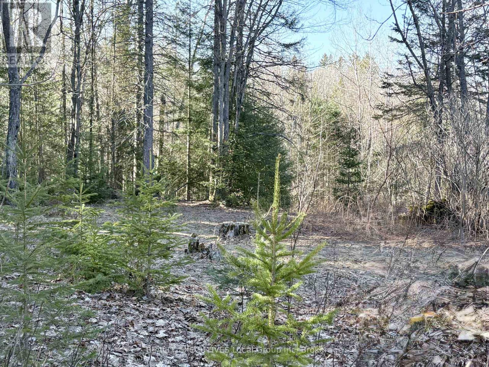 30 PEEVER LINE, Powassan — photo 5