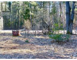 30 Peever Line, Powassan, ON P0H1Z0 Photo 12