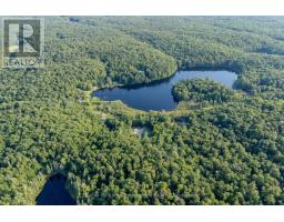 1739 Fraserburg Road, Bracebridge, ON P1L1X3 Photo 32