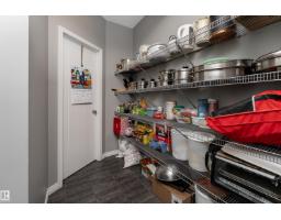 Storage - 2055 Redtail Cm Nw, Edmonton, AB T5S0H3 Photo 12