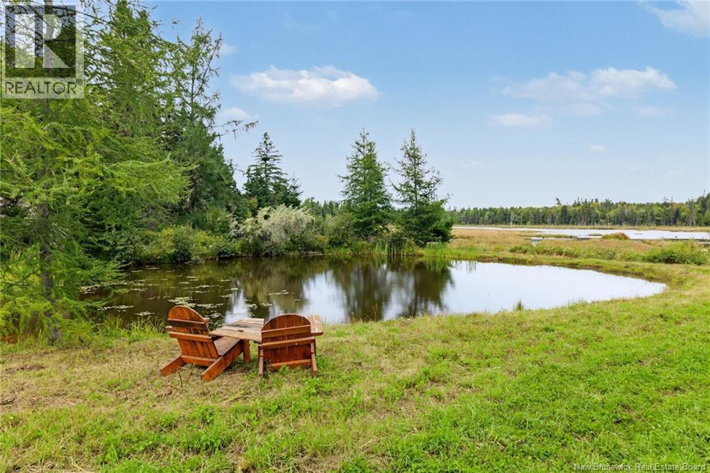 516 Carpenter Bald Hill Road - Image 46