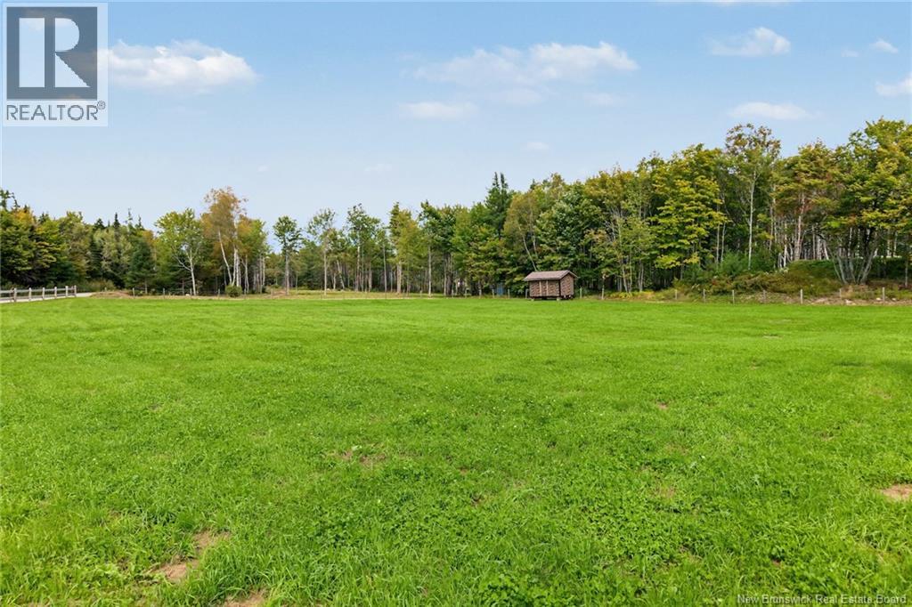 516 Carpenter Bald Hill Road - Image 44