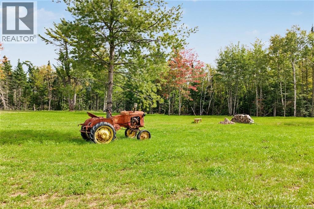 516 Carpenter Bald Hill Road - Image 40