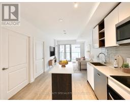 502 - 543 Richmond Street W, Toronto, ON M5V1Y6 Photo 8