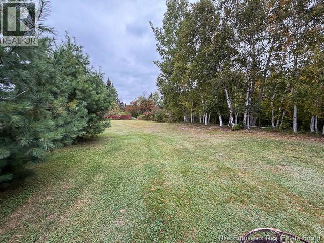 403 Route 390, Rowena — photo 8