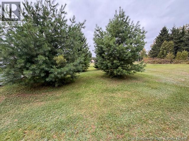 403 Route 390, Rowena — photo 9
