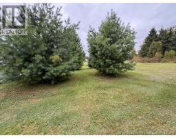 Other - 403 Route 390, Rowena, NB E7H4N1 Photo 9