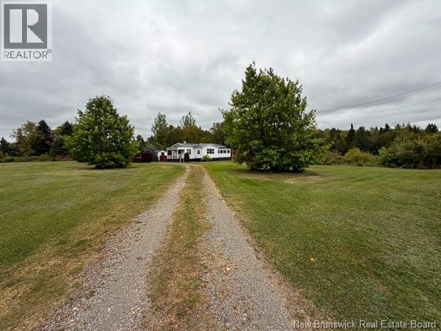 403 Route 390, Rowena — photo 2
