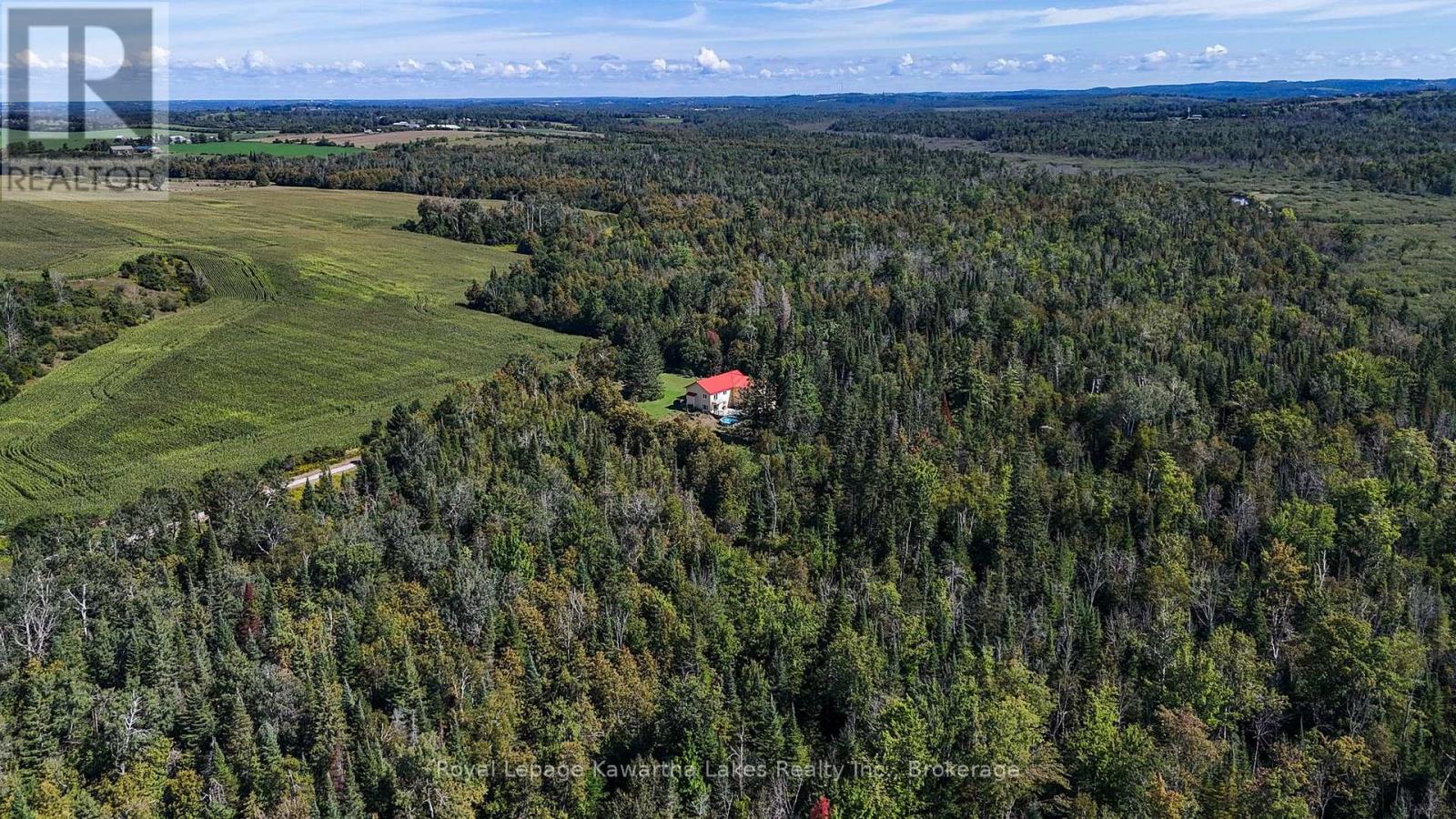 1752 Highway 35 South, Kawartha Lakes, ON photo 36