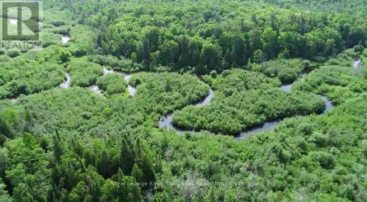 1752 Highway 35 South, Kawartha Lakes, ON photo 37