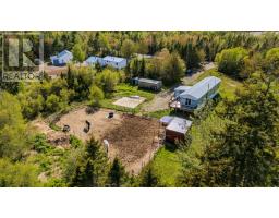 239 Little Dyke Road, Little Dyke, NS B0M1L0 Photo 40